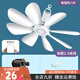 揚子（YAIR）小吊扇宿舍學(xué)生家用床上掛大風(fēng)力迷你蚊帳吊式電風(fēng)扇靜音小型 8葉極強風(fēng)升級款（銅芯電機） 標配（自帶1.3米線(xiàn)）