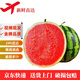 壹果萬麥美都8424西瓜麒麟西瓜少籽/無籽小西瓜新鮮水果清甜多汁 優(yōu)選中果/凈重5-6斤（1粒裝）