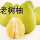 柚滿園梅州白肉蜜柚子正宗梅縣特產(chǎn)新鮮水果金柚冰糖柚碌柚 大果2-4個(gè)帶箱共9-10斤