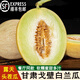 鑫果滋【順豐】戈壁白蘭瓜 甘肅瓜州西貝白蘭瓜酒泉網(wǎng)紋瓜沙漠蘭州甜瓜 2個裝 精品大果（共11-12斤） 順豐