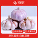 京覓山東紫皮大蒜 凈重5斤 單果30g+大蒜頭蔥姜蒜源頭直發(fā)包郵