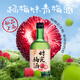 江記酒莊時光梅酒 楊梅風(fēng)味青梅酒 8度 330ml 單瓶裝 微醺果酒