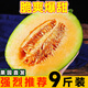 正宗海南哈密瓜新鮮水果疆西州蜜瓜25號老漢瓜一整箱網(wǎng)紋甜瓜 新鮮哈密瓜 試吃小果1斤【六成熟嘗鮮】