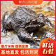 福建深山鮮活泉養大山石蛙石鱗石凍一斤4只孩子學(xué)走路補品 3只1斤