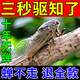 驅(qū)蟬神器驅(qū)知了專用香精包蟬鳴戶室外樹上蟋蟀鳥松鼠蛇蝙蝠超聲波 1袋【驅(qū)知了專用】當(dāng)天安靜