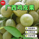 廣西雞皮果3斤山黃皮果腌制曬干泡酒廚房調味辣椒醬伴侶現(xiàn)摘現(xiàn)發(fā) 1斤裝--冷凍鮮果