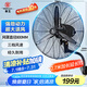 華生（Wahson）工業(yè)風扇電風扇壁扇大風力工廠車間商用風扇強力超大工業(yè)扇牛角扇交流定頻風扇 FL-75（加強版B）