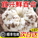 【順豐發(fā)貨】2025宜興百合新鮮食用大百合無(wú)錫特產(chǎn)純農(nóng)家微苦無(wú)硫 2斤大果（約8個(gè)）推薦
