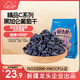 新邊界 蜜餞果干新疆特產(chǎn)黑加侖葡萄干干果零食500g/袋