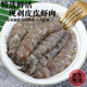 鮮活皮皮蝦現剝肉皮皮蝦肉新鮮爬蝦肉蝦蛄肉餃子餡蝦爬子冷凍純肉 皮皮蝦肉1斤