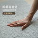 賽波斯可機洗浴室門(mén)口地墊抑菌吸水防滑腳墊子衛生間門(mén)素色地毯40X60CM