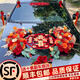 滿(mǎn)城花語(yǔ)婚車(chē)裝飾主婚車(chē)花車(chē)頭花結婚拉花頭副車(chē)花布置吸盤(pán)車(chē)隊全套拉花 鎏金月亮款【吾家有喜】橙紅 中號【75cmX25cm】