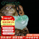 玉緣緬甸A貨翡翠如意男女款玉吊墜滿綠揚州玉器廠