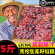 黃六爺順豐包郵克倫森無籽紅提葡萄現(xiàn)摘新鮮無核無籽超甜脆當(dāng)季孕婦水果 2斤精選裝