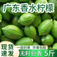 廣東香水檸檬生鮮水果正宗青檸檬無(wú)籽大果青檸鮮檸檬奶茶店專(zhuān)用 廣東香水檸檬2斤（中果60-90g）