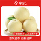 京覓河北趙縣脆甜白皇冠梨凈重4.5斤單果230g+新鮮水果源頭直發(fā)