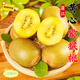 金百粟 正宗蒲江黃心獼猴桃奇異果金果新鮮水果產(chǎn)地直發(fā) 大果90-110g 24枚【店長(cháng)推薦】
