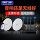 先科K9無(wú)線(xiàn)藍牙吸頂音響家用客廳嵌入式喇叭重低音音箱公共廣播室內店鋪餐廳天花吊頂奶茶店商用套裝  絲膜高音配置 2個(gè)吸頂套裝