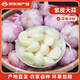 云南本地紫皮大蒜農(nóng)家自種干蒜多瓣蒜頭2025年新鮮蔬菜干大蒜 云南紫皮蒜 2500g 【凈重】大果
