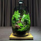 MPPMCK生命之樹(shù)苔蘚微景觀(guān)生態(tài)瓶創(chuàng  )意桌面造景盆景綠植盆栽節日生日禮物 俏江南景觀(guān)燈(禮盒裝)生態(tài)