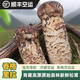 北森南嶼香格里拉新鮮松茸未開傘鮮松茸鮮菌菇禮盒裝冷鏈空運快至24小時達 未開傘4-6cm凈重 500g