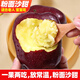 天水花牛粉面蘋(píng)果嬰兒刮泥輔食蘋(píng)果老人食寶寶粉糯香甜蛇蘋(píng)果 精選果2斤