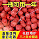 JCZS德國品牌魚餌通殺懶人顆粒狀餌料小藥垂釣野釣黑坑釣魚鯉魚鯽魚 腥香味小顆粒+果香味小顆粒 各1