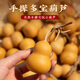 衛(wèi)辭手捻小葫蘆文玩葫蘆手把件擺件梨形野生天然葫蘆盤(pán)書(shū)房天堂 手捻福祿【已祝福99w+】 4-6cm原色葫蘆 1個(gè)【無(wú)】破損