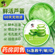 修正蘆薈膠曬后補水保濕溫和滋養(yǎng)修護舒緩滋潤嫩膚痘印痘坑凝膠300g