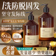 維特絲防脫育發(fā)洗發(fā)水生姜固發(fā)側(cè)柏葉控油去屑洗頭膏露男女士金榜第1