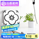 遠晶瓷磚300x300墻磚北歐仿古小白磚花磚廚房衛(wèi)生間地板磚廁所墻面磚 F30017 300x300