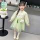 WVD國際品牌女童夏季漢服連衣裙2025新款兒童國風(fēng)旗袍紗裙寶寶新中式夏裝裙子 長袖綠色送包 長袖綠色送包 90 CM
