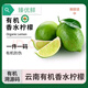 有機青檸檬新鮮香水無(wú)籽云南榨汁水果不打蠟產(chǎn)地 5斤一級果