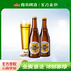 青島啤酒（TSINGTAO）皮爾森精釀瓶裝全麥精釀450ml*12瓶高端整箱啤酒精釀啤酒 450mL 12瓶