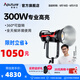 愛圖仕（Aputure） LSC 300d II 影視補(bǔ)光燈 專業(yè)攝影攝像燈led網(wǎng)紅人像錄制直播外拍燈DMX控光調(diào)光高亮燈光 LS C300d II(V-mount)標(biāo)配