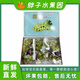 水晶葡萄鮮水果晴王禮盒無籽提子