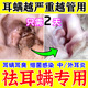 貓咪耳螨專用寵物耳膚靈耳朵消炎滴耳液清潔去螨止癢抑菌清潔液L 三瓶裝【買二送一】貓咪耳臭
