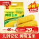 十月稻田 黃糯玉米 3.52斤(220g*8根) 東北甜黏玉米棒 早餐苞米 真空包裝