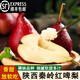鑫果滋順豐陜西紅啤梨 秦嶺新鮮軟梨子啤酒太婆梨水果應(yīng)當(dāng)季紅皮梨 凈4.5-5斤【順豐】 大果（60mm+）