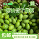2025潮汕當(dāng)季新鮮現(xiàn)摘橄欖青橄欖果水果生青果孕婦煲湯泡酒檀香欖 2斤精選青橄欖靚果 當(dāng)季青橄欖