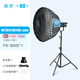 南光（NANLITE）FS-300C全彩大功率補光燈 視頻直播拍攝燈 RGB專業(yè)影棚大場景攝影燈 氛圍人像拍照燈 FS-300C+新款90快裝柔光箱（蛋格）+燈架