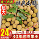 儲褚廣東高州新鮮桂圓石峽龍眼水果 當(dāng)季儲良龍眼茂名特產(chǎn) 順豐冷鏈 凈重7.6斤【精選老樹儲良龍眼】