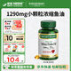 自然之寶深海魚油軟膠囊 Omega-3 DHA EPA 中老年魚油 美國原裝進口 【易吞服】MINI魚油90粒
