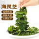 鮮窩窩 海靈芝500g 海木耳新鮮海白菜海藻裙帶嫩芽火鍋食材麻辣燙涼拌菜