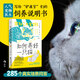 如何養(yǎng)好一只貓 寫給鏟屎官們的飼養(yǎng)說明書 貓馴養(yǎng)寵物行為健康飼養(yǎng)知識書籍 后浪正版