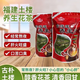 福建土樓金線蓮養(yǎng)生茶益生茶組合茶 高端 土樓花茶1斤（有放金線蓮）