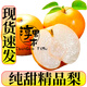 淳果一木正宗豐水梨 梨子當(dāng)季應(yīng)季雪豐水黃金冰糖梨  新鮮水果 生鮮 水果 5斤（凈重4.5-5斤）