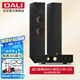 達尼（DALI） OPTICON6 MKII歐典6mk2 丹麥進口hifi高保真落地音箱 2聲道無源音響 歐尼士RA125+歐典6MK2(備注顏色)