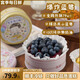 宮季每日鮮5寸鐵罐罐蛋糕動(dòng)物奶油榴蓮/芒果/芋泥/藍莓/抹茶/巧克力甜品蛋糕 口味1：爆炸藍莓罐罐蛋糕 口味2：抹茶奧利奧罐罐蛋糕
