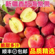 順豐 正宗新疆香妃海棠果雞心果冰糖小蘋(píng)果5斤甜當(dāng)季孕婦新鮮水果 5斤
